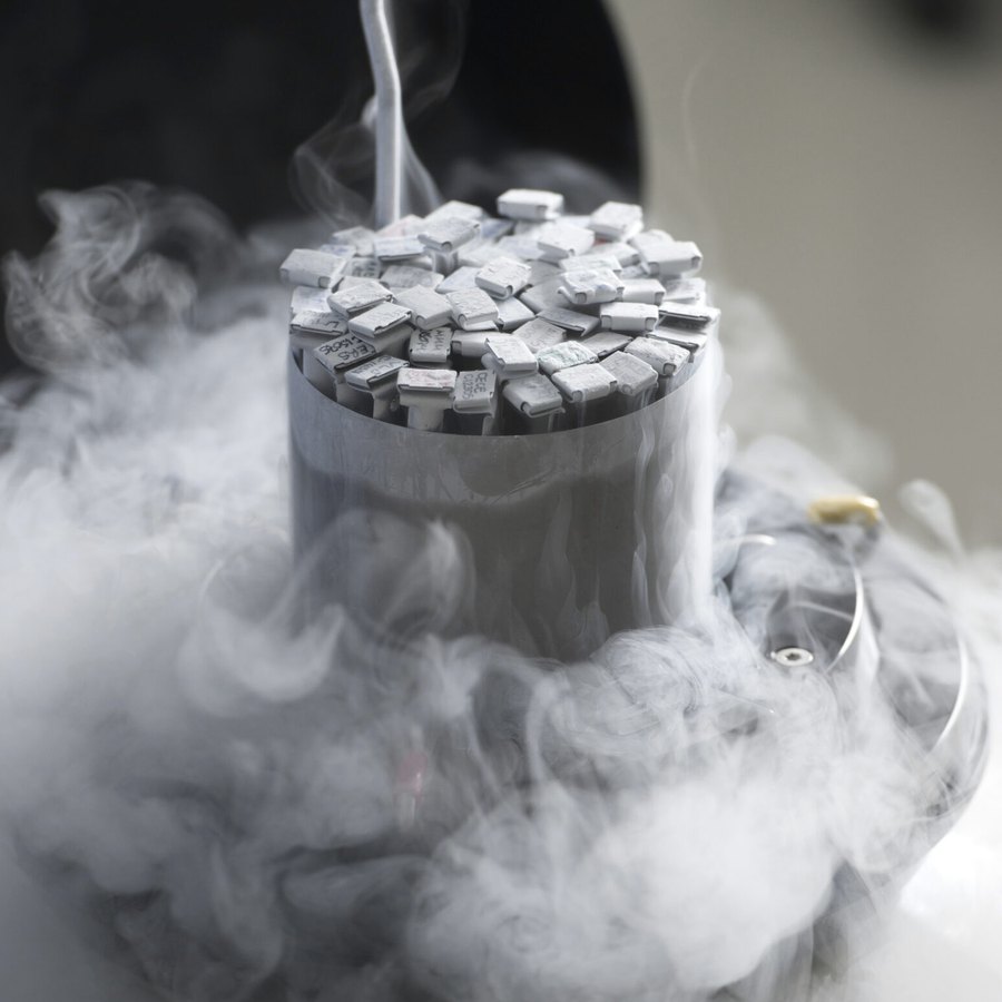 Pajillas de vitrificación saliendo del tanque de nitrógeno líquido entre vapor frío