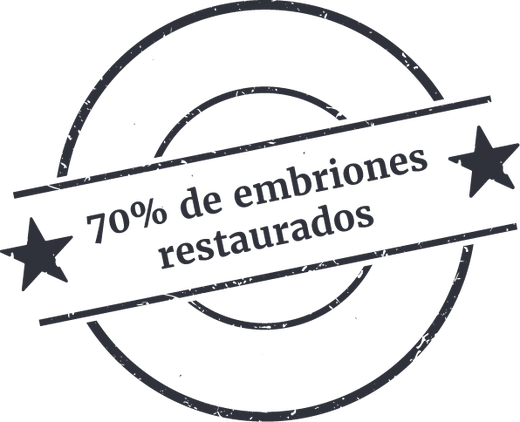 Sello: 70% de embriones restaurados