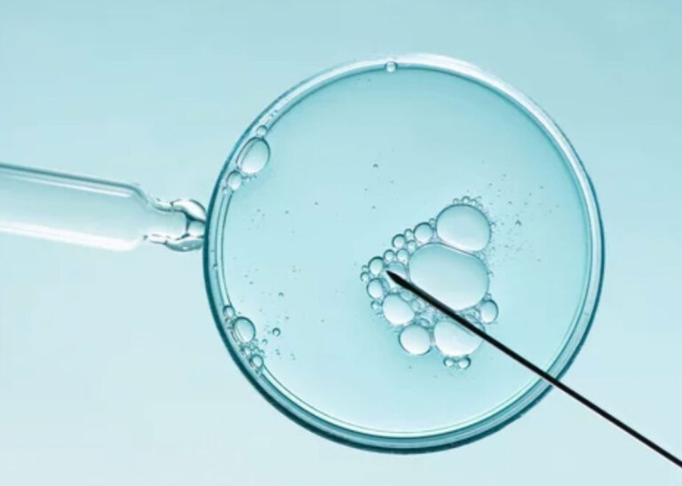 microscopic view of cells with a needle