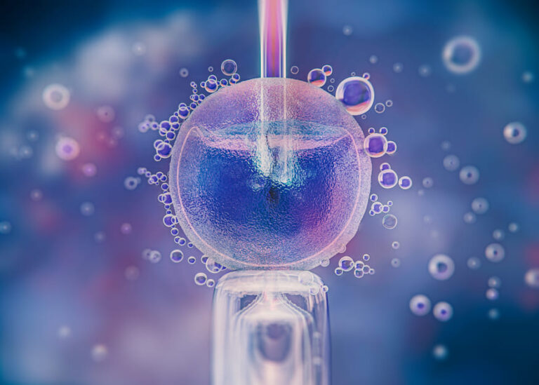 laboratory procedure involving a cell or egg