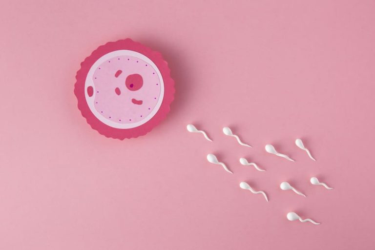 illustration of a human egg and sperm