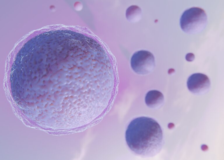 IVF MORE: what to expect