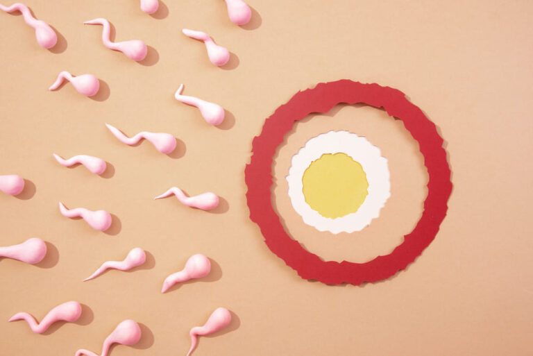 IVF MORE: metabolic diagnosis