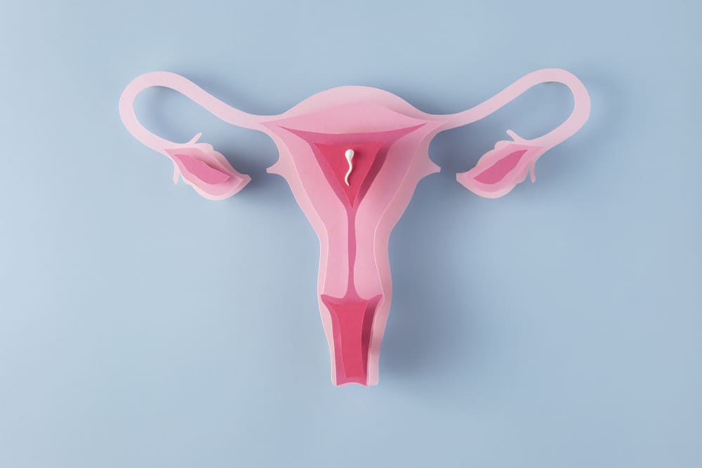 The Role of Magnetic Field Culture in IVF: Science That Enhances Embryo Viability