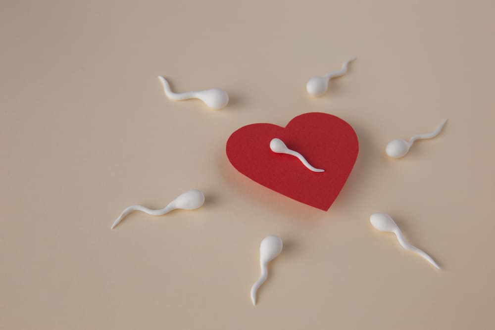 Understanding Egg Donation & Why Egg Restoration Is Better