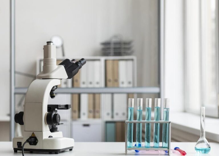 The Science Behind Egg Quality: What Really Matters for IVF Success?